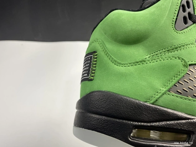 Rep SE Oregon 5 CK6631-307 Air Jordan Ducks 0818